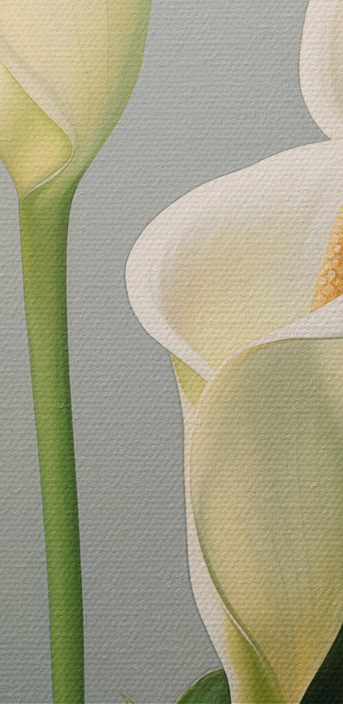 Elegant white blooms in soft light