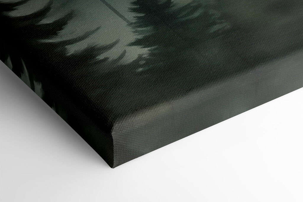 Group of trees in a forest Group of trees in a forest