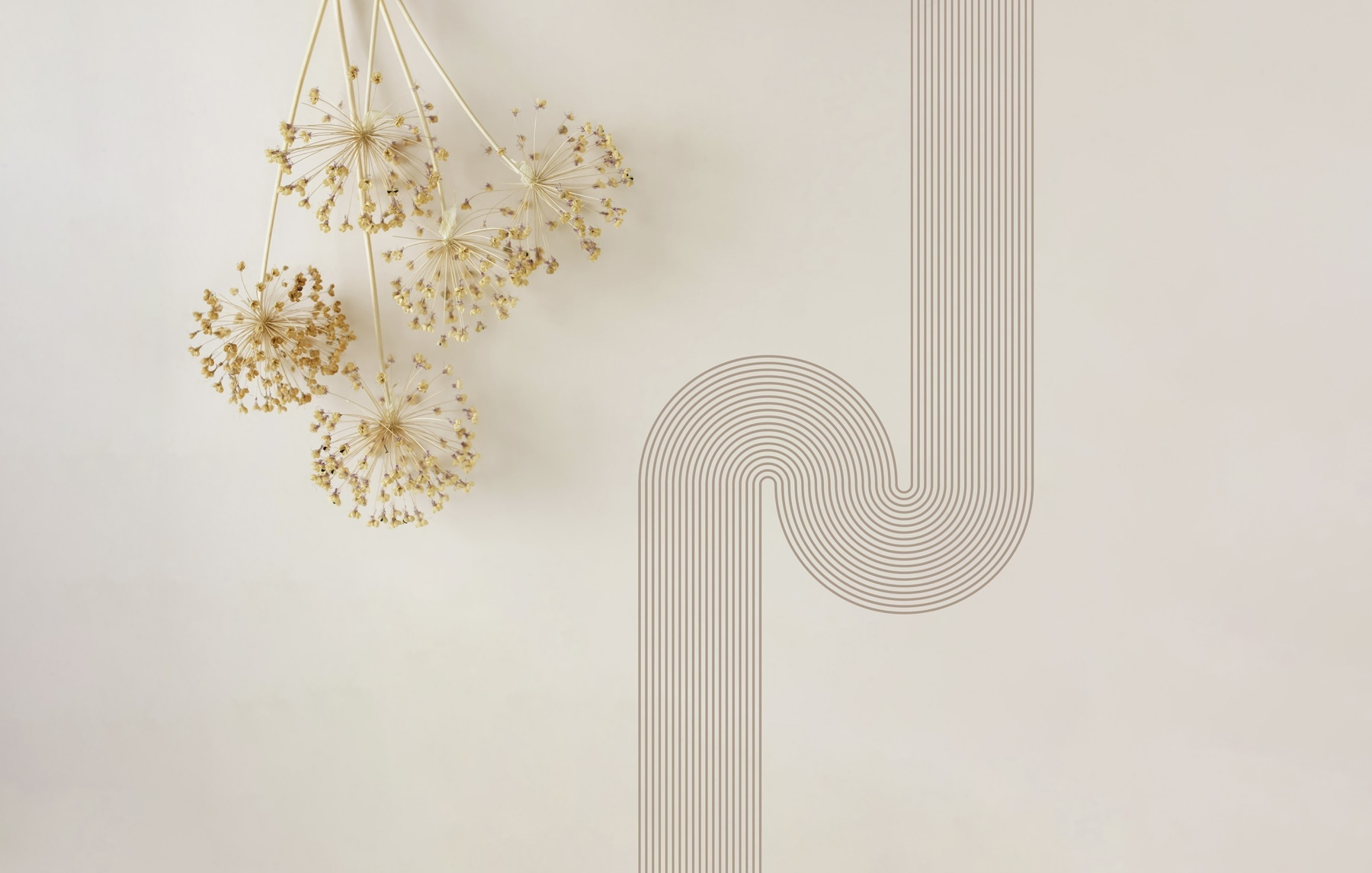 Wall with a bunch of dandelions