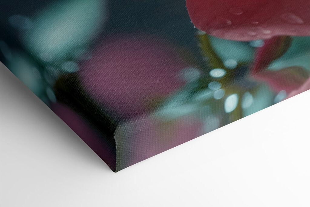 Delicate petals after a gentle rain Delicate petals after a gentle rain