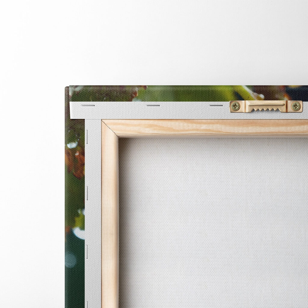 Bunch of grapes with water droplets on them Bunch of grapes with water droplets on them