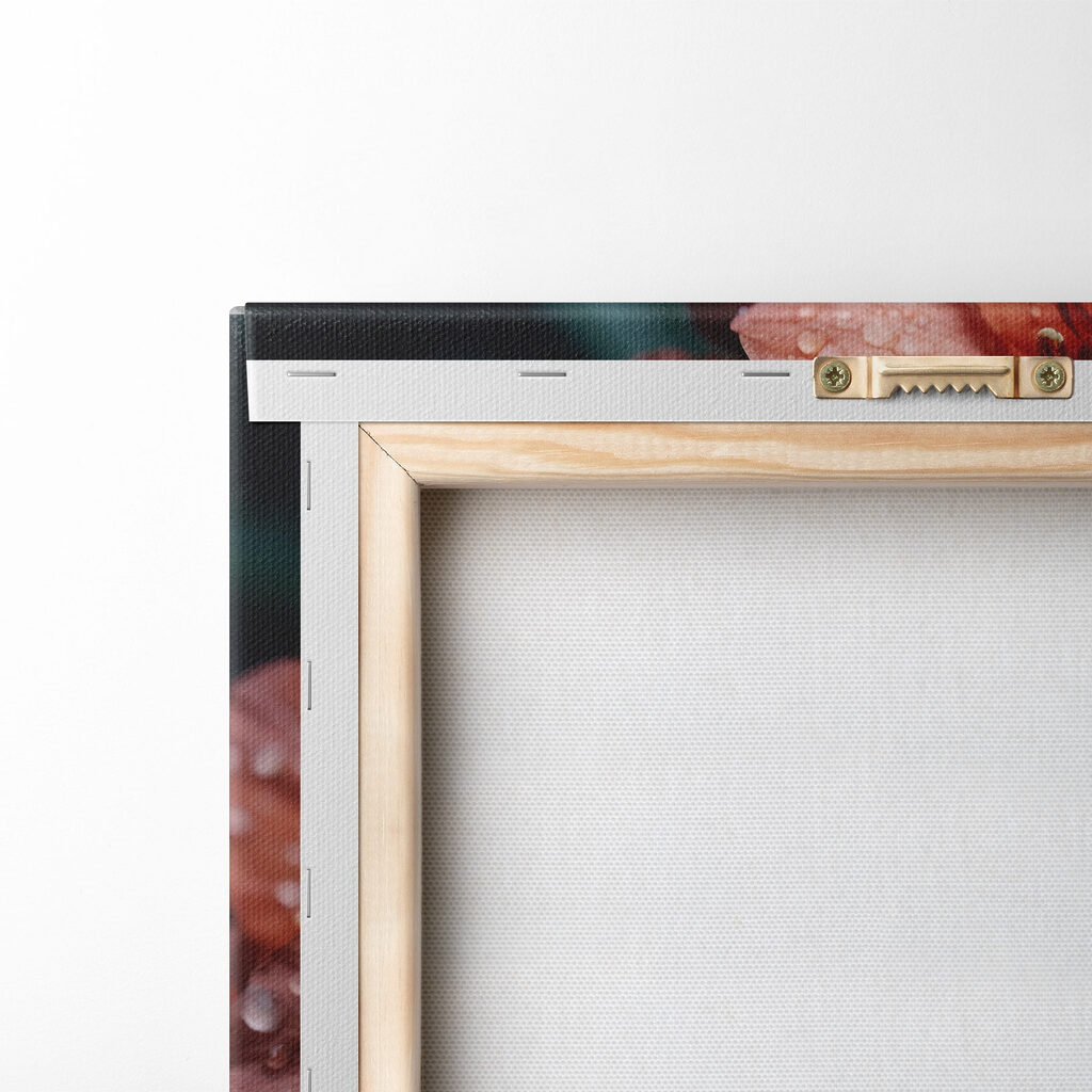 Group of red flowers with water droplets Group of red flowers with water droplets