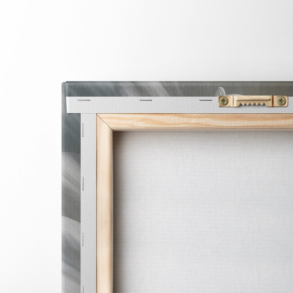 Delicate petals in soft hues Delicate petals in soft hues