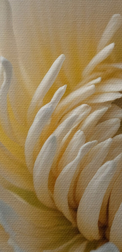 Delicate petals in soft hues Delicate petals in soft hues