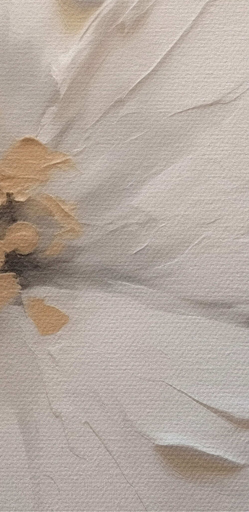 Delicate white floral elegance displayed