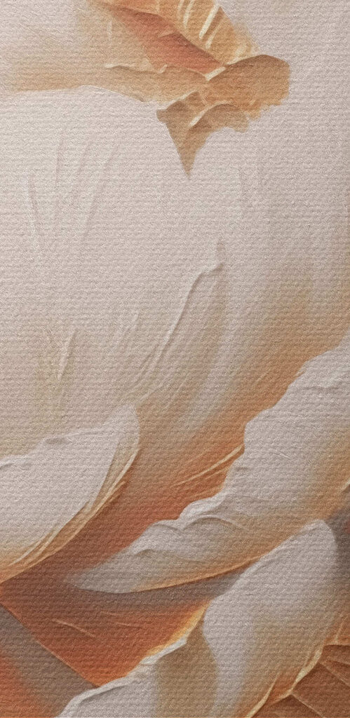 Delicate petals in soft colors Delicate petals in soft colors