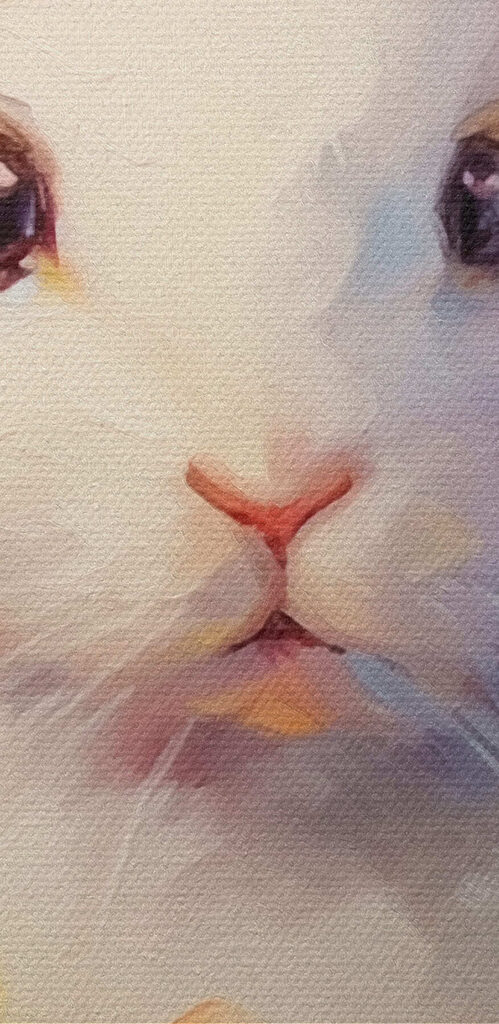 White rabbit in a flower field White rabbit in a flower field