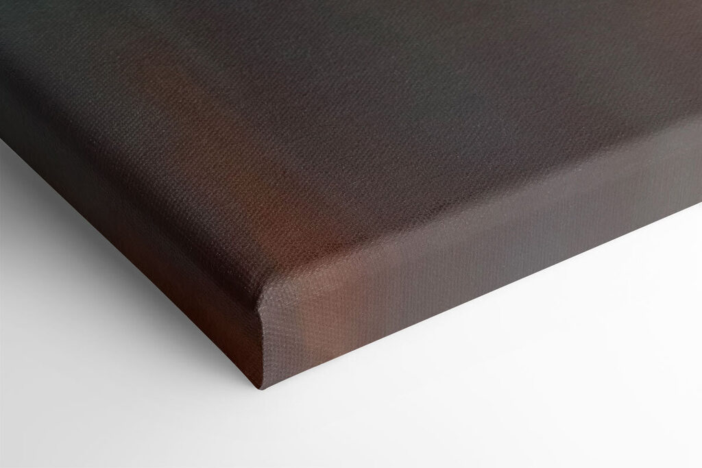 Elegant rose in soft hues Elegant rose in soft hues