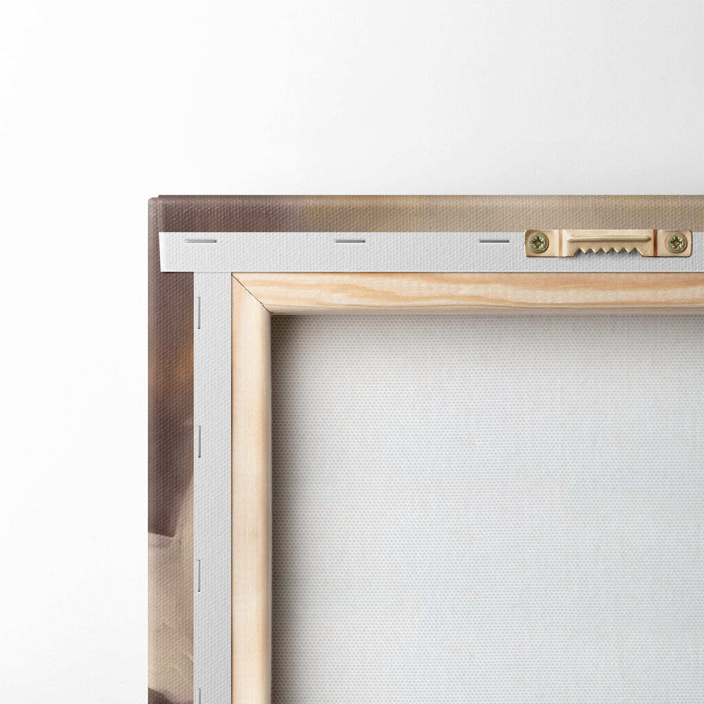 Elegant rose in soft hues Elegant rose in soft hues