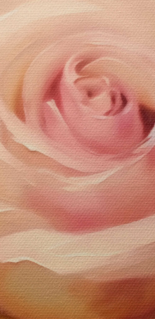 Elegant rose in soft hues Elegant rose in soft hues