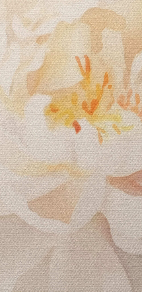 White flower with green leaves