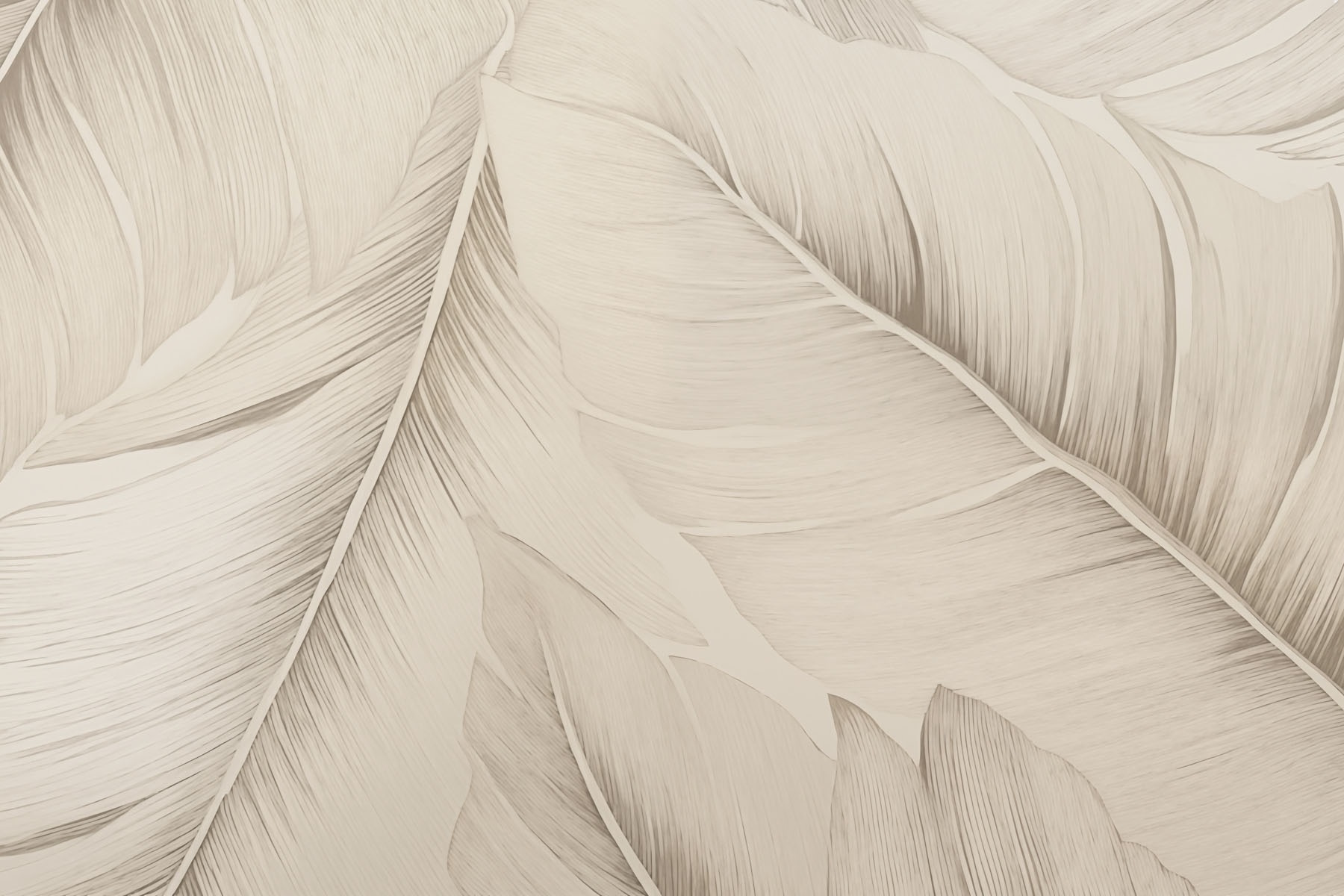 Elegant patterns of soft leaves Elegant patterns of soft leaves