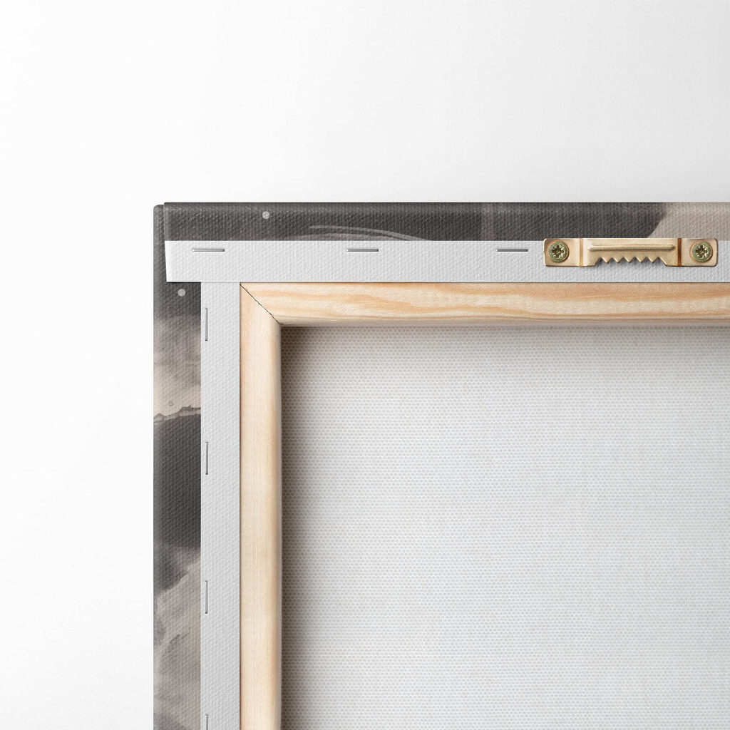 White flower on a black background White flower on a black background