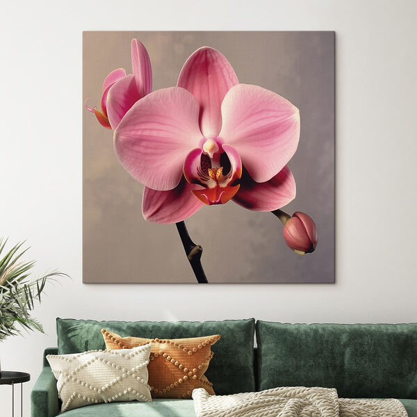 Jemná ružová orchidea v plnom kvete Jemná ružová orchidea v plnom kvete