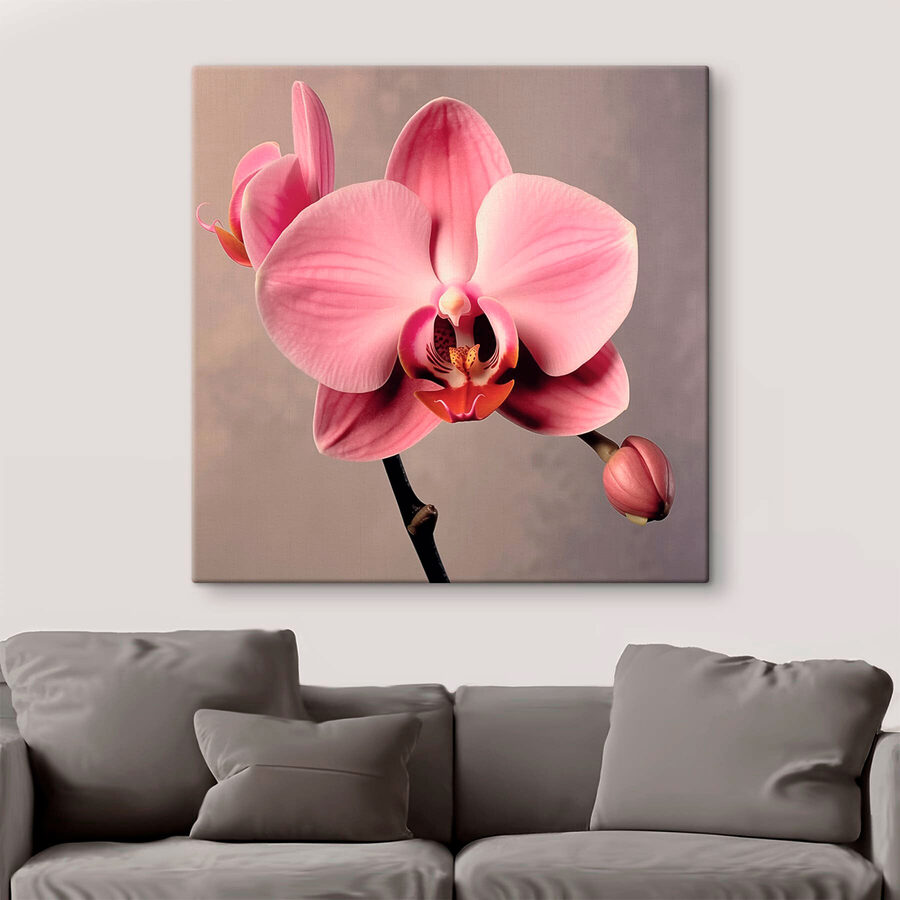 Jemná ružová orchidea v plnom kvete