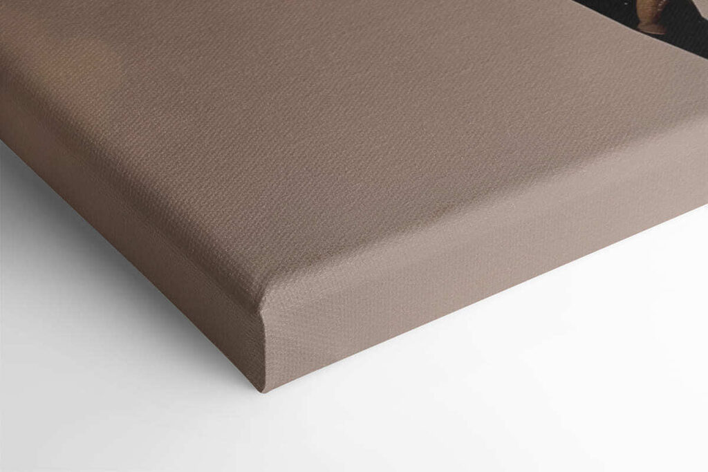 Delicate pink orchid in full bloom Delicate pink orchid in full bloom