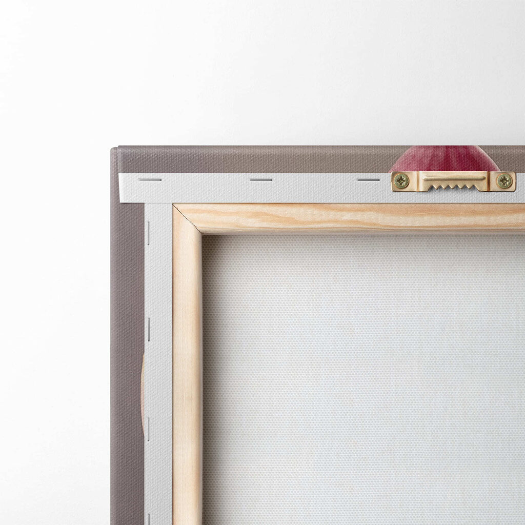 Delicate pink orchid in full bloom Delicate pink orchid in full bloom