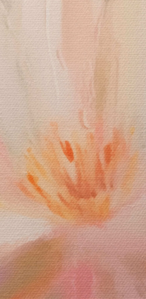 Delicate petals in soft hues