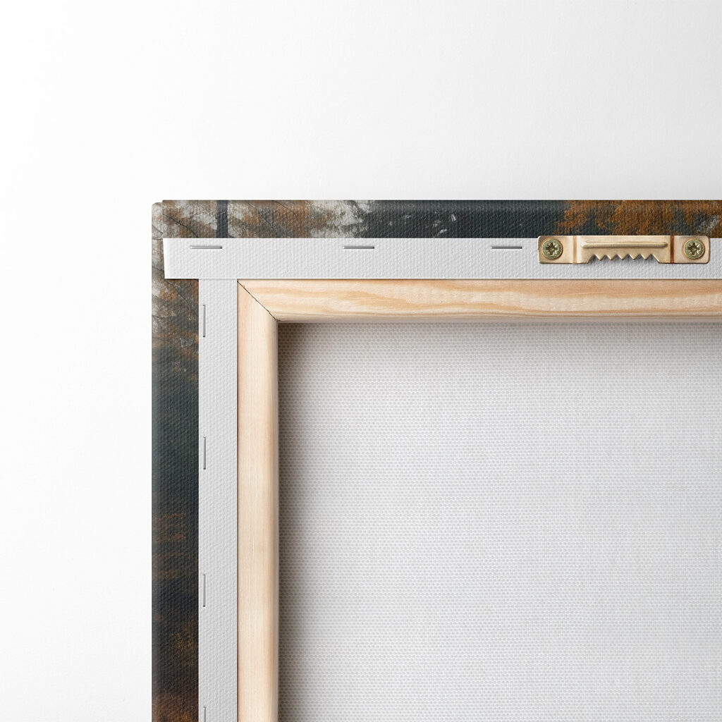 Body of water with trees and grass Body of water with trees and grass