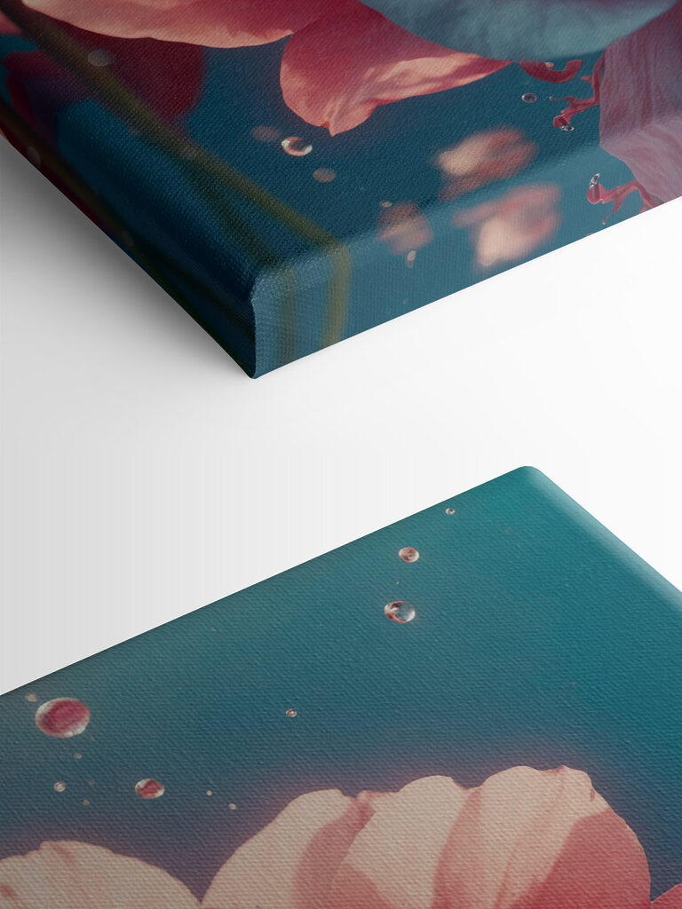 Delicate blooms in serene waters Delicate blooms in serene waters