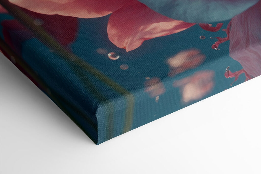 Delicate blooms in serene waters Delicate blooms in serene waters