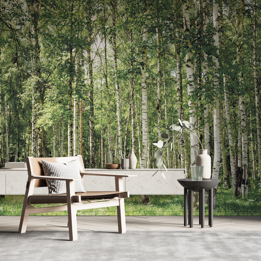 Group of trees in a forest Group of trees in a forest