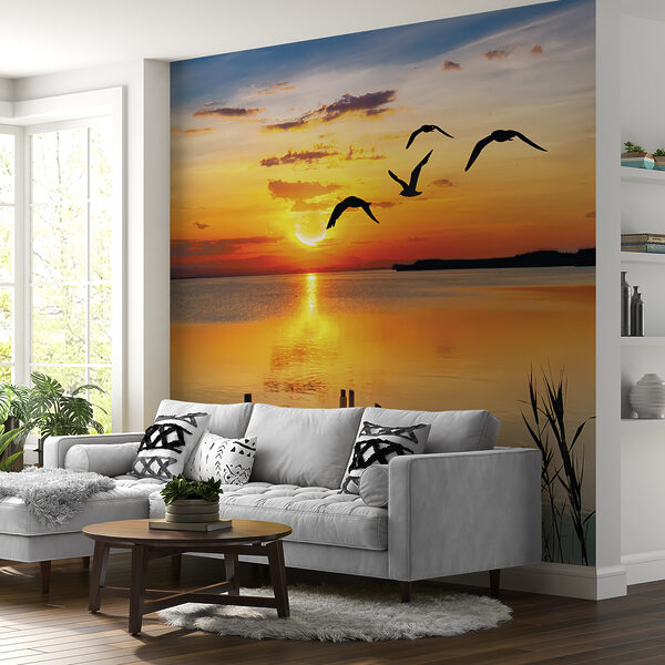 Dok s vtákmi lietajúcimi nad vodou u57673pig21mr 600x600 - Dok s vtákmi lietajúcimi nad vodou