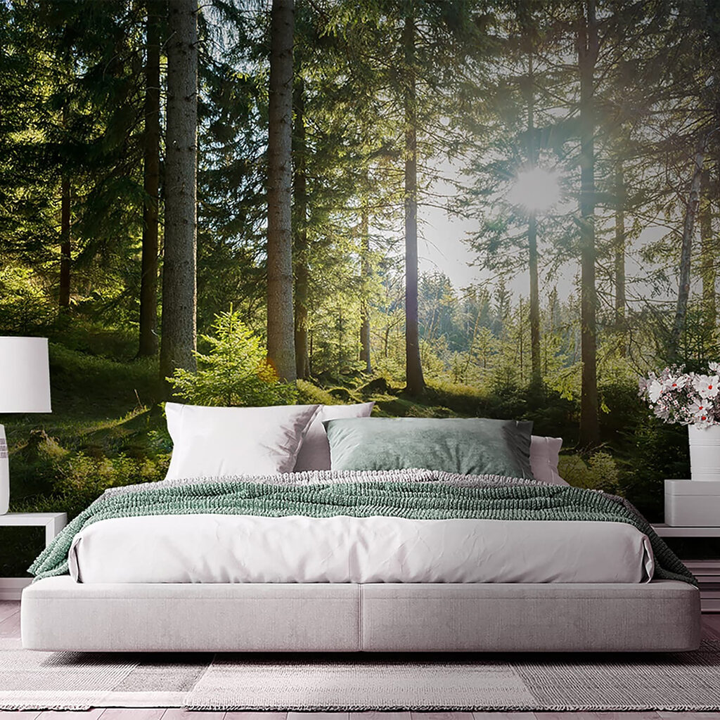 Sun shining through trees Sun shining through trees