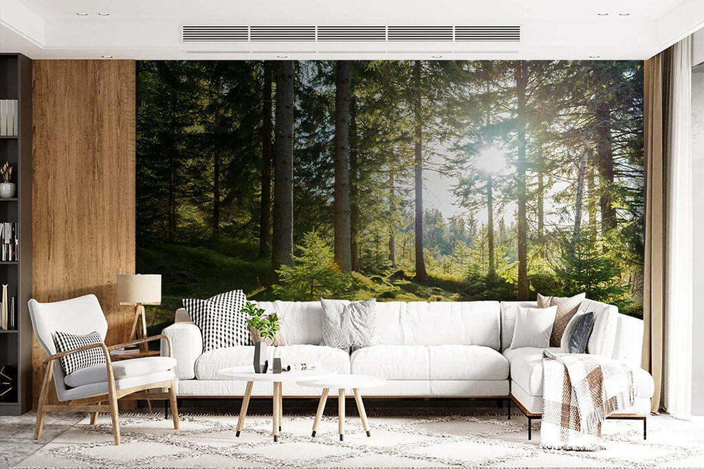 Sun shining through trees Sun shining through trees