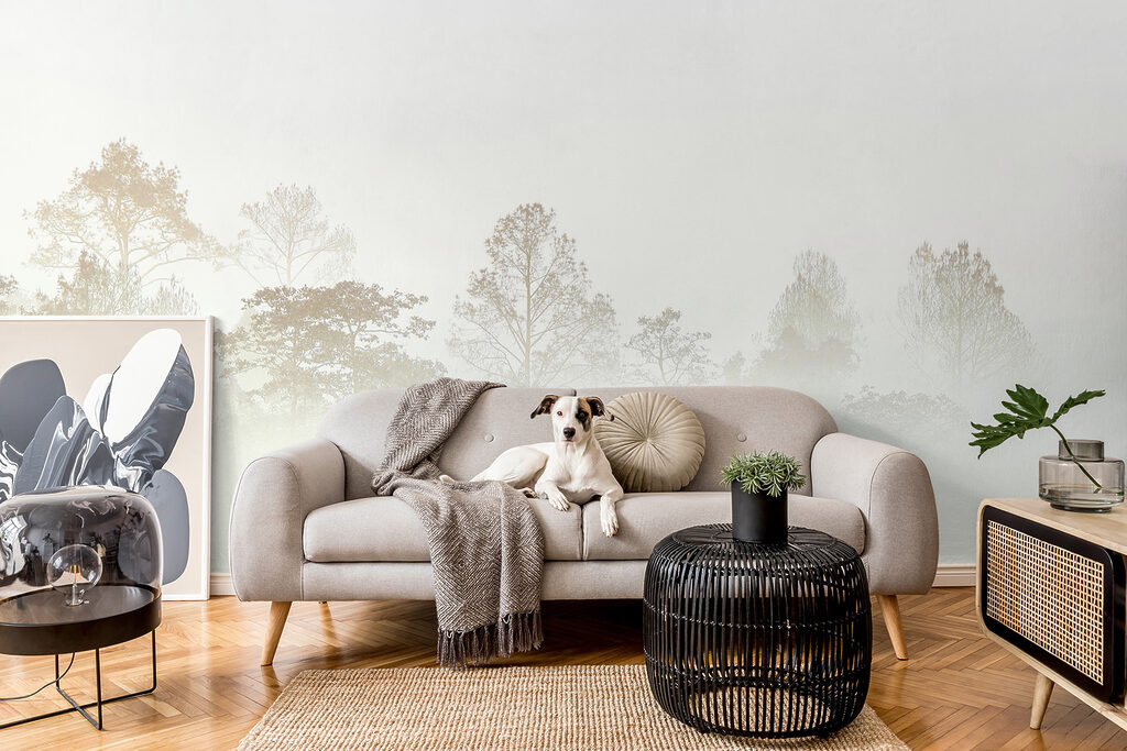 Trees in the fog Trees in the fog