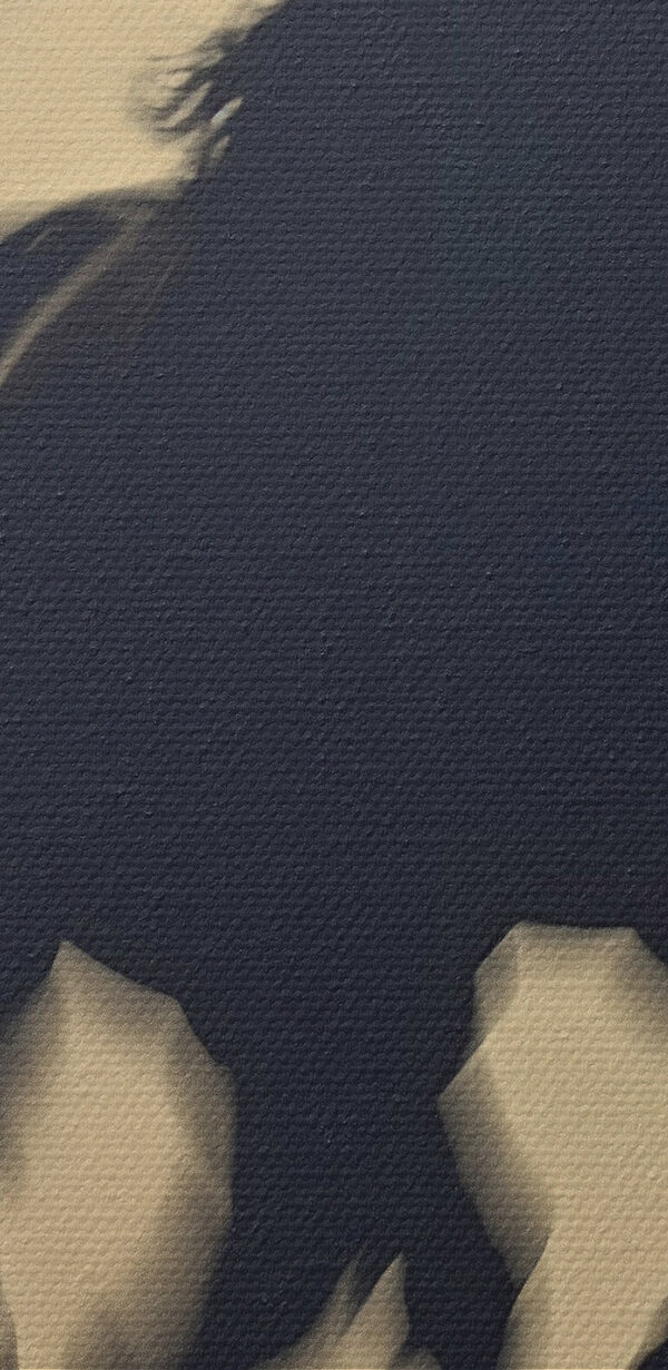 Horse running in the snow Horse running in the snow