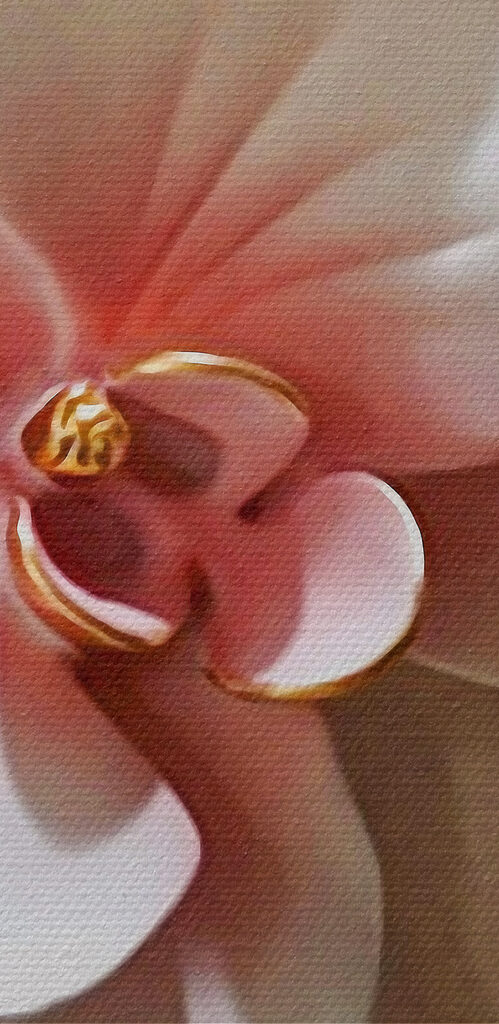 A close up of flowers
