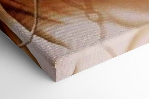 Detailný záber na dva kone Detailný záber na dva kone