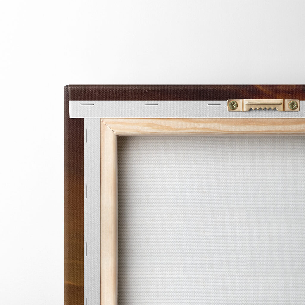 A field of red flowers