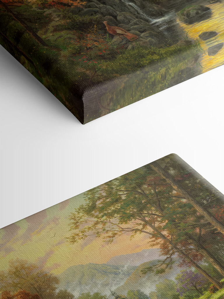 A house by a river A house by a river