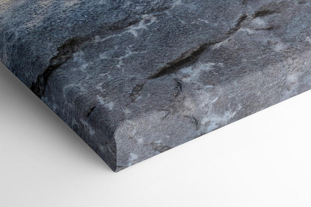 A couple of lions lying on a rock