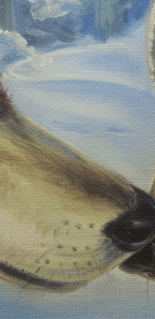 A painting of two wolves kissing