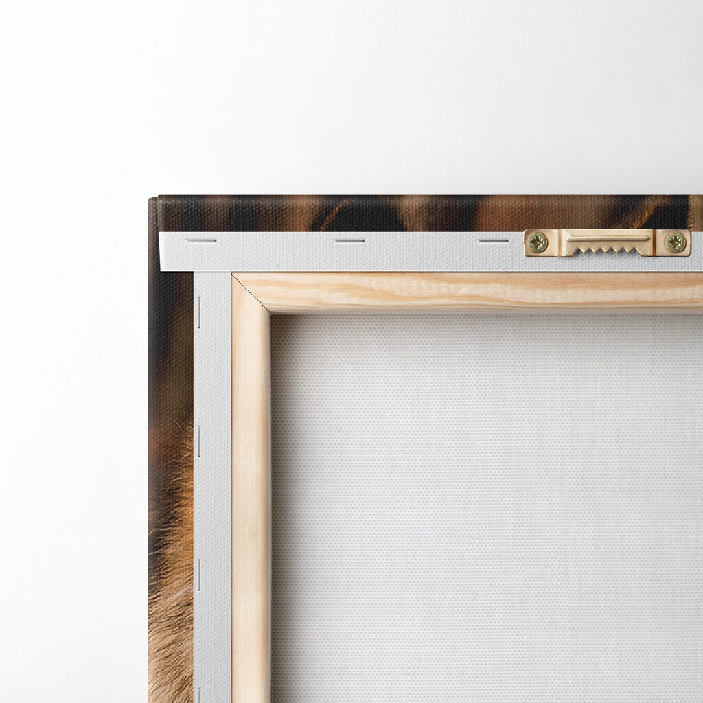 A couple of wolves in the woods A couple of wolves in the woods