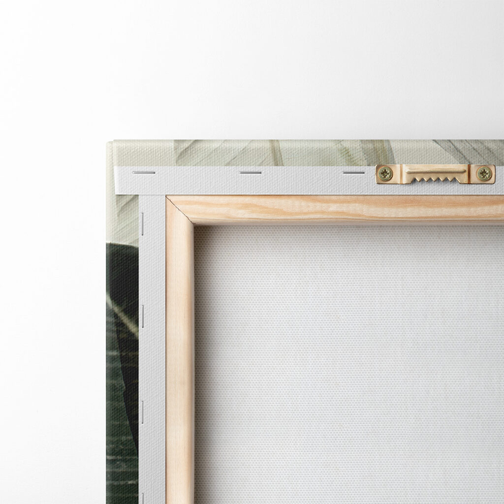 A close up of a plant A close up of a plant