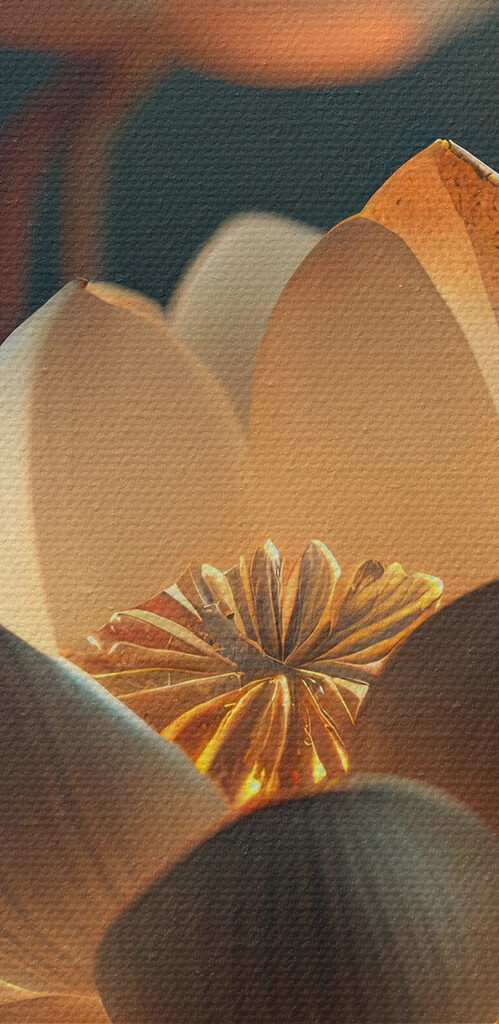 A white flower with yellow specks on it A white flower with yellow specks on it