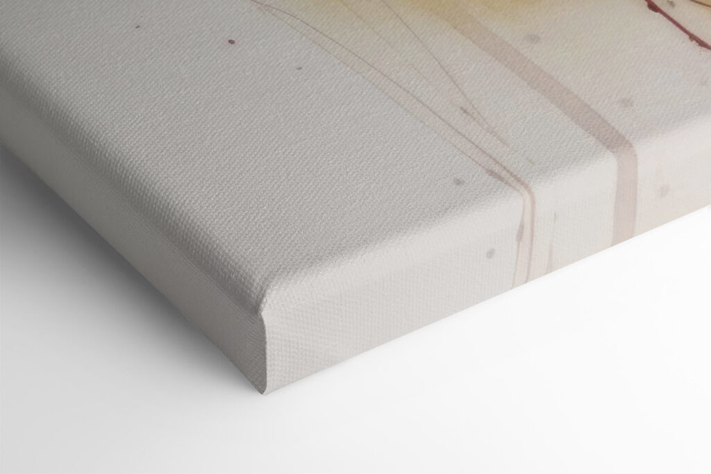 A painting of flowers on a white background A painting of flowers on a white background