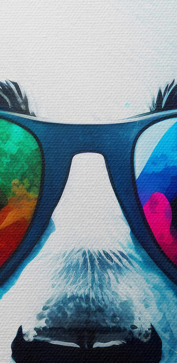 Panda so slúchadlami a slnečnými okuliarmi Panda so slúchadlami a slnečnými okuliarmi