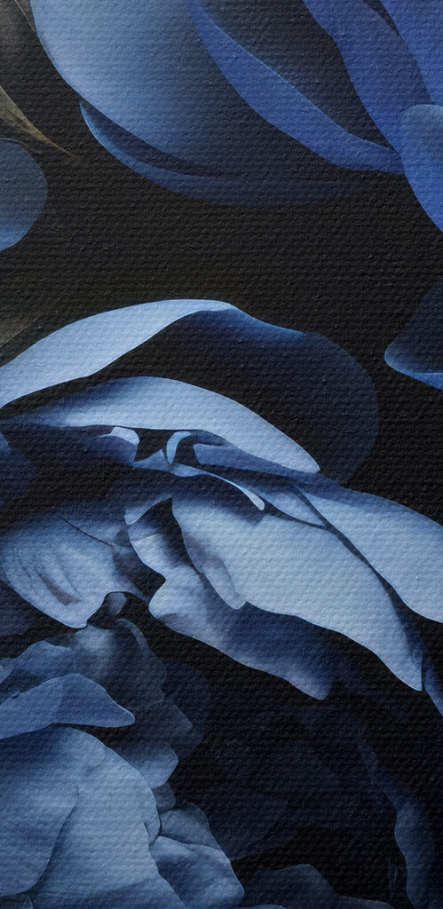 A group of blue flowers