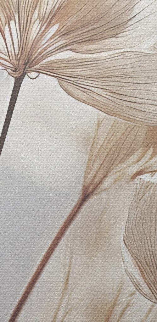 A close up of flowers