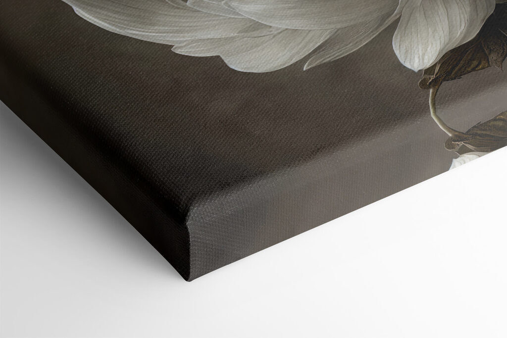 A white flower with a yellow center