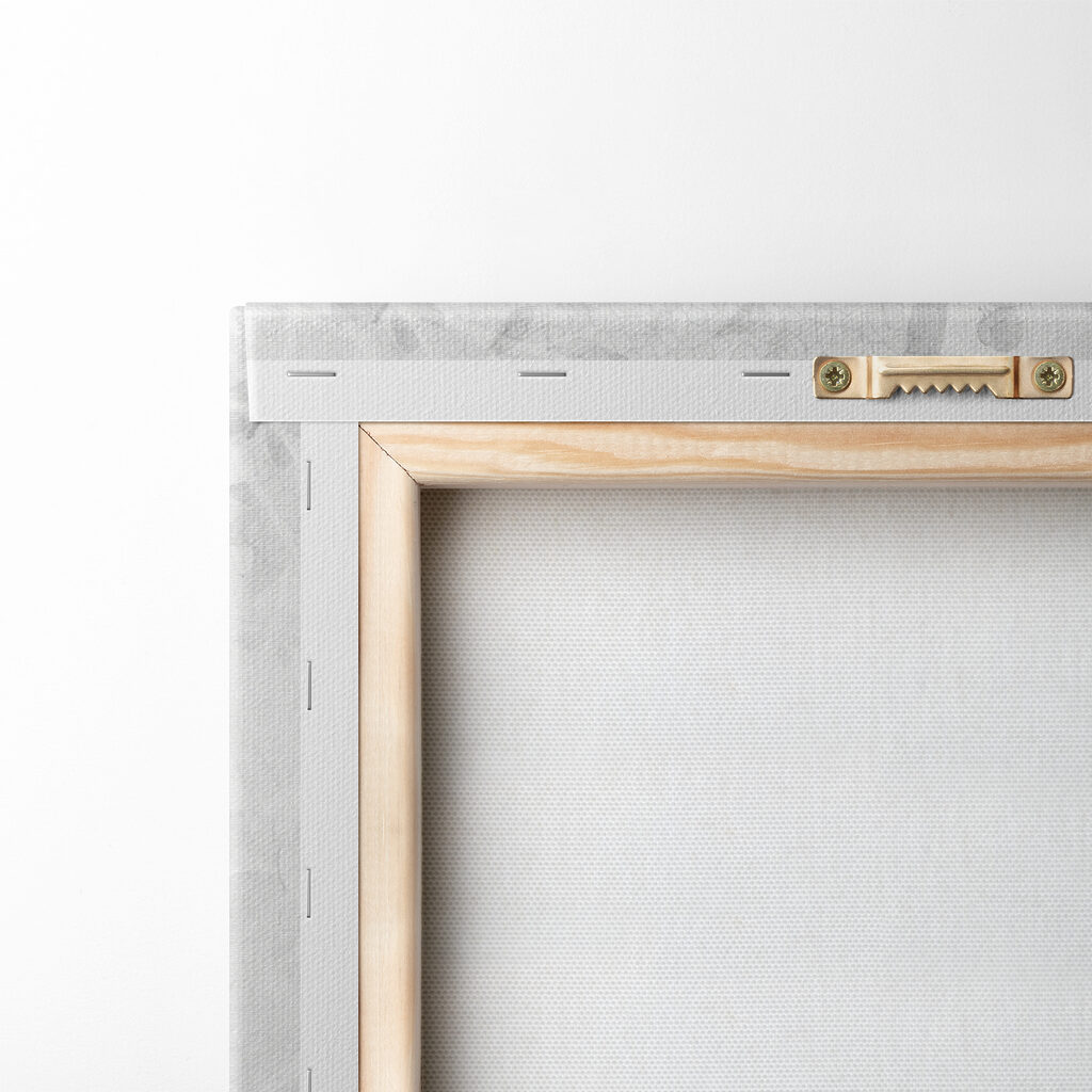 A group of white flowers A group of white flowers