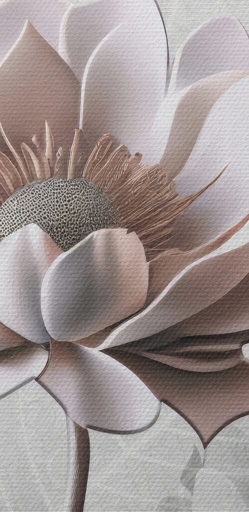 A group of white flowers A group of white flowers