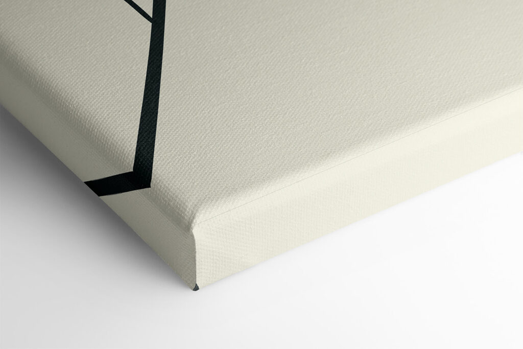 A close up of a plant