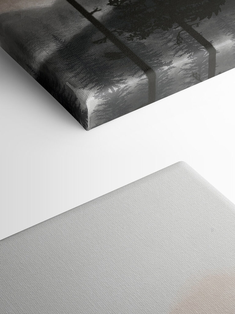 A group of trees in the fog A group of trees in the fog