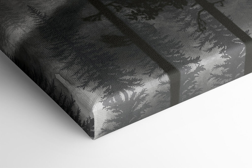 A group of trees in the fog A group of trees in the fog